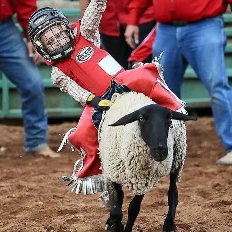 mutton bustin-3